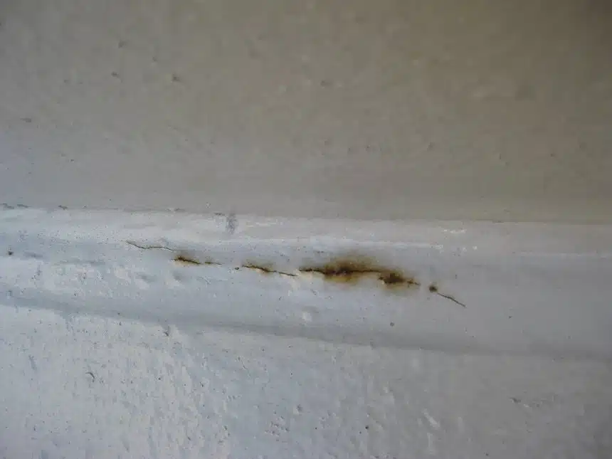Close-up of rust staining breaking through the coating at the silo base